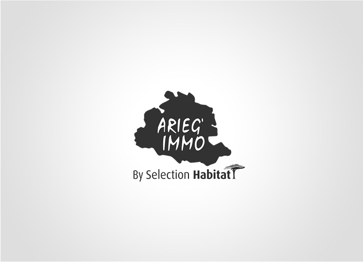 Nouveau : arieg'immo by selection habitat s'installe  foix. nouveau local, chantier en cours, suivez notre actu' ! Arieg'immo lavelanet